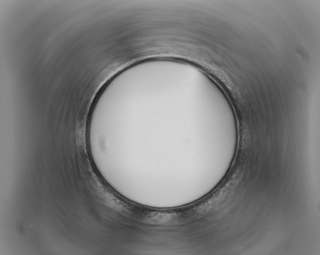 X0000111531513200908041254