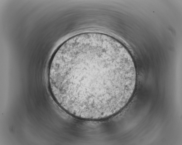 X0000111531514200908041254