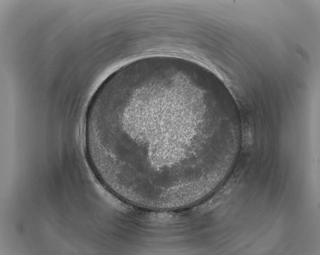 X0000111531515200908041254