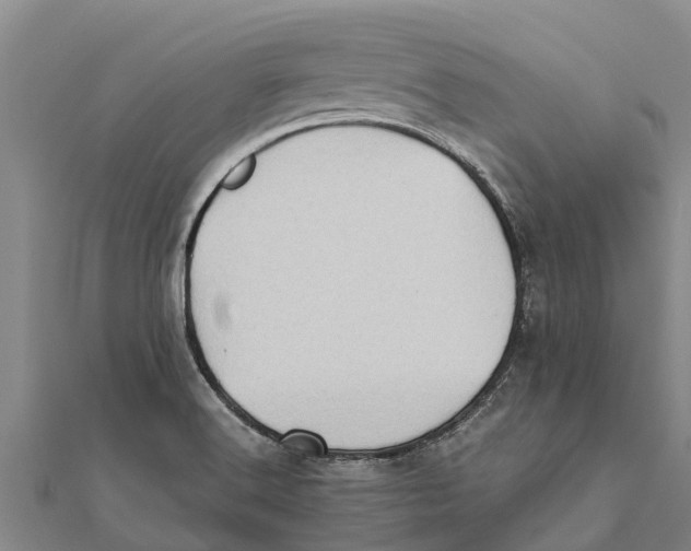 X0000111531516200908041254