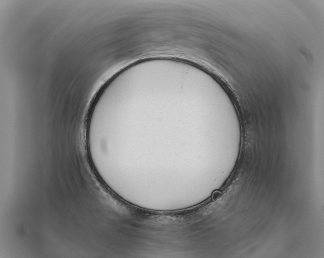 X0000111531517200908041254