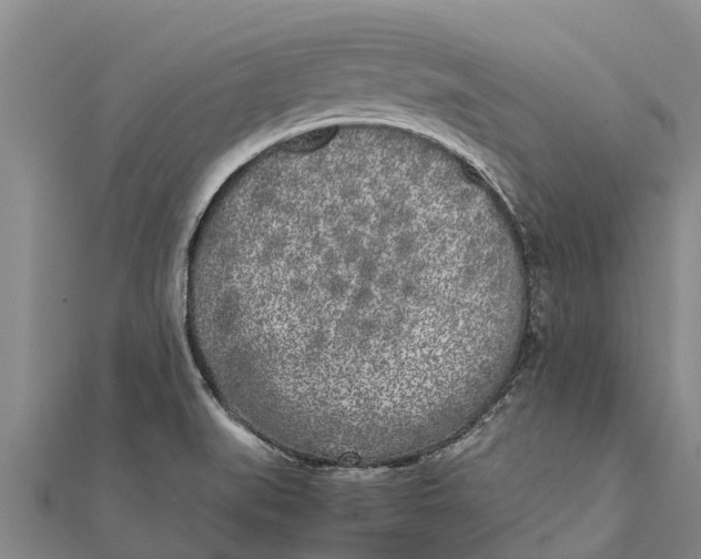 X0000111531519200908041254