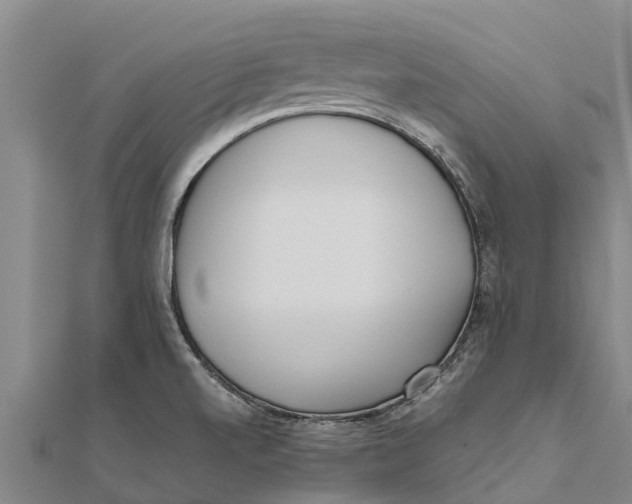 X0000111531520200908041254