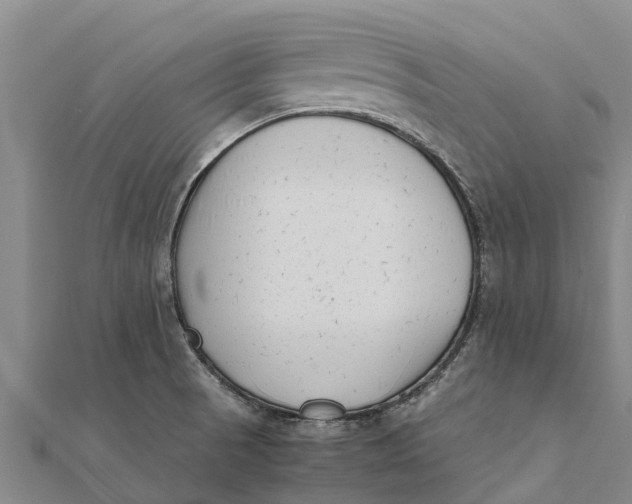 X0000111531521200908041254