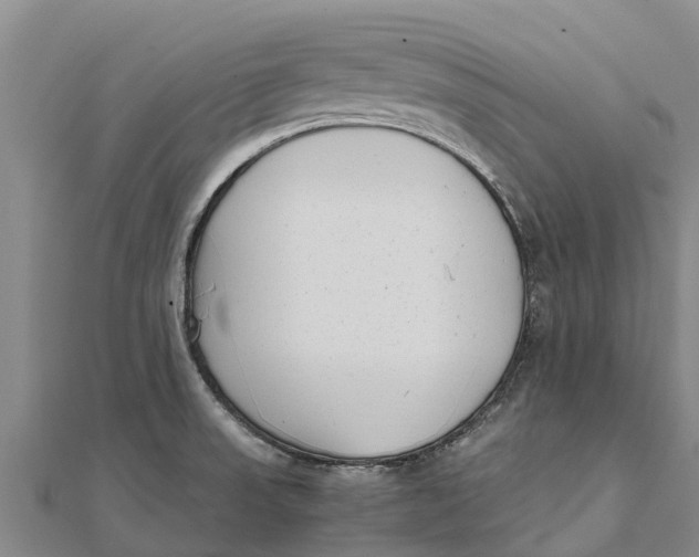 X0000111531523200908041254