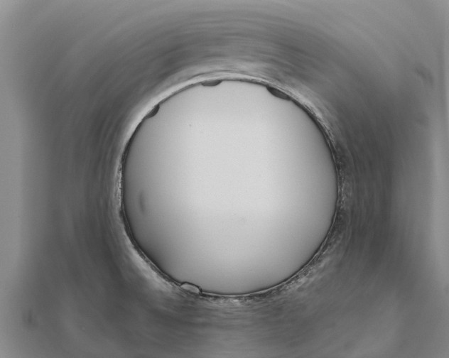 X0000111531524200908041254