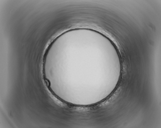 X0000111531525200908041254