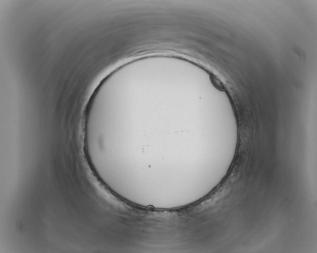 X0000111531526200908041254