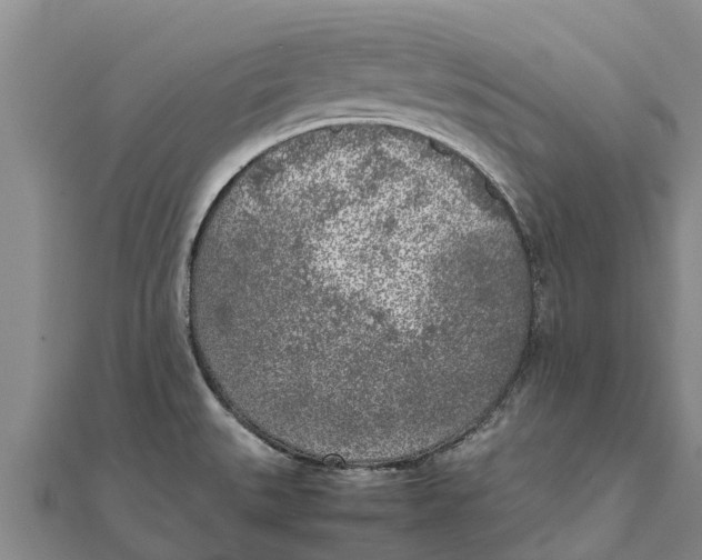 X0000111531527200908041254