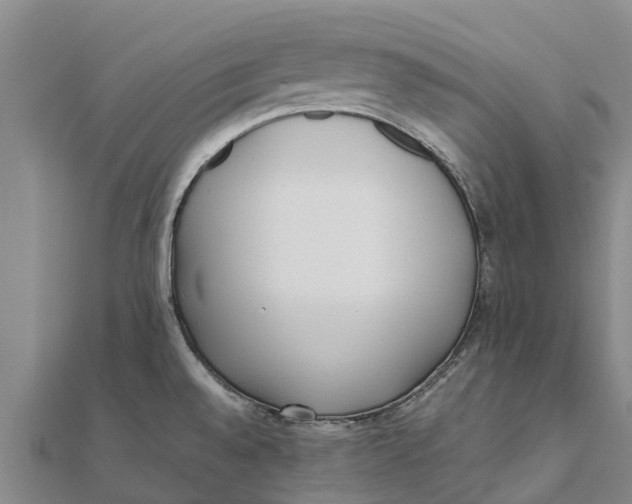 X0000111531528200908041254