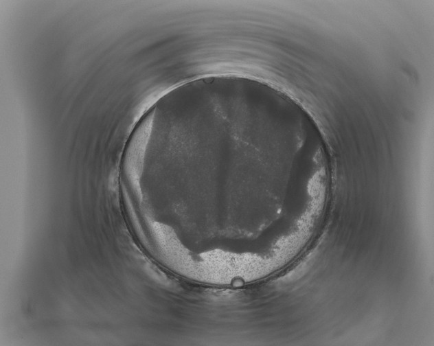 X0000111531529200908041254