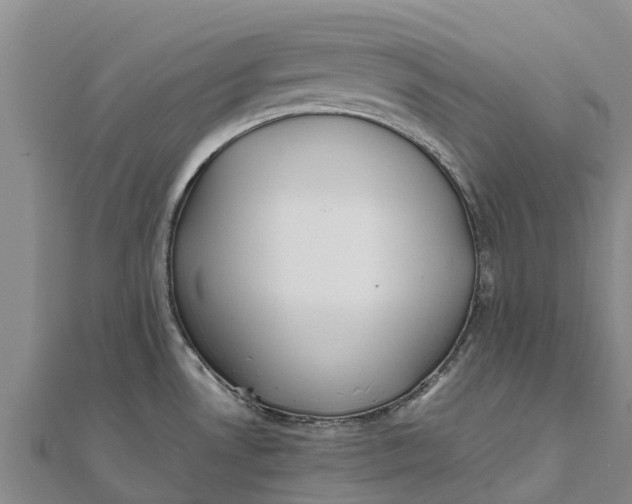 X0000111531530200908041254