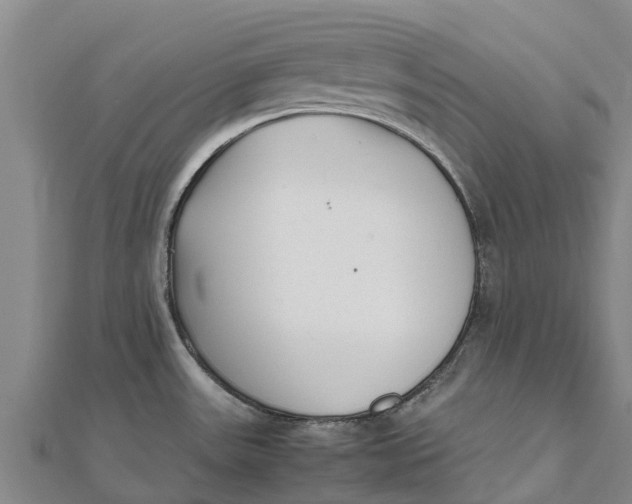 X0000111531531200908041254