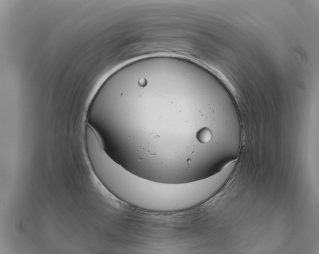 X0000111531532200908041254