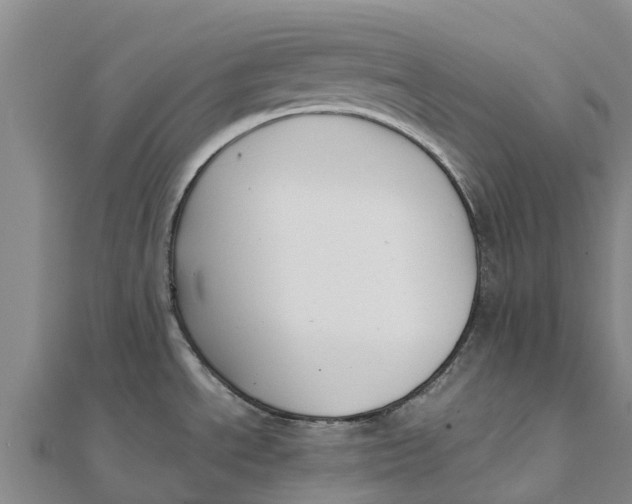 X0000111531534200908041254