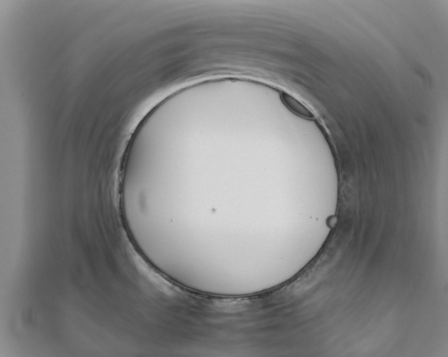 X0000111531535200908041254