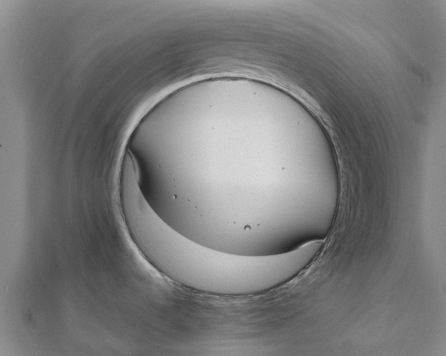 X0000111531536200908041254