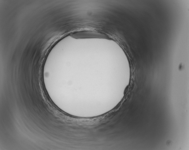 X0000111530001200908111238