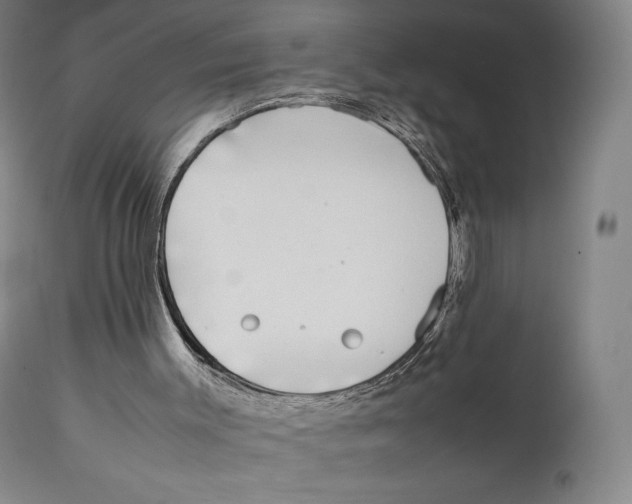 X0000111530003200908111238