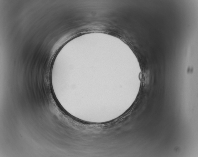 X0000111530004200908111238