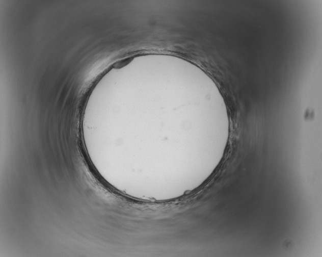 X0000111530005200908111238