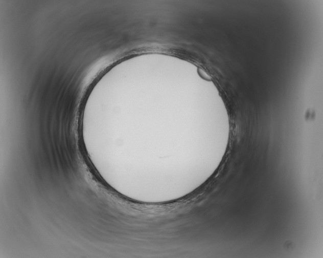 X0000111530006200908111238