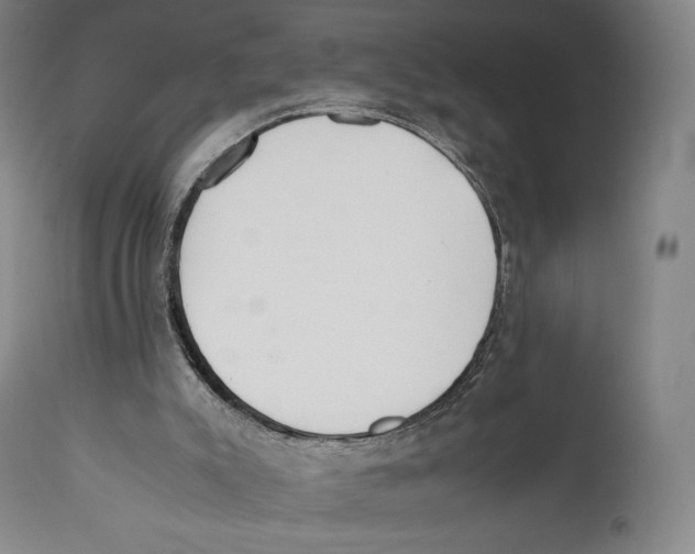 X0000111530007200908111238