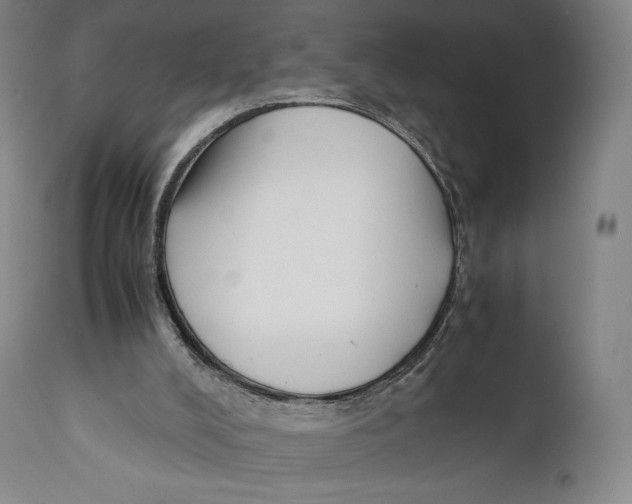 X0000111530008200908111238