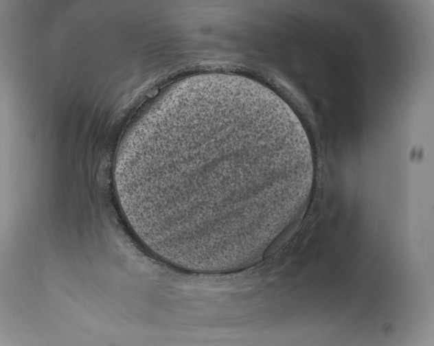 X0000111530009200908111238