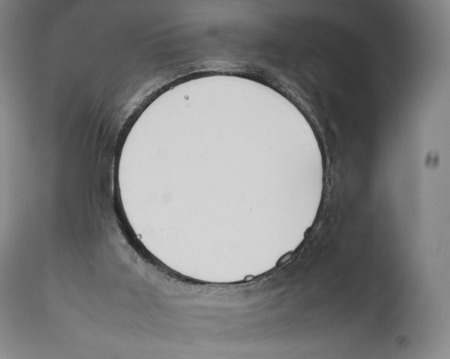 X0000111530011200908111238