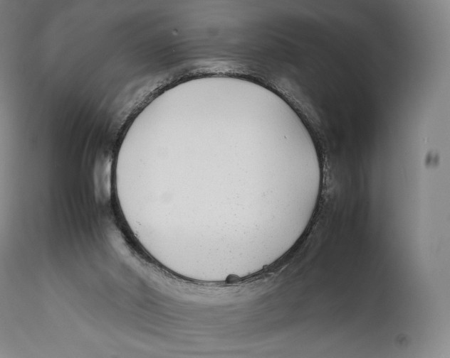 X0000111530014200908111238