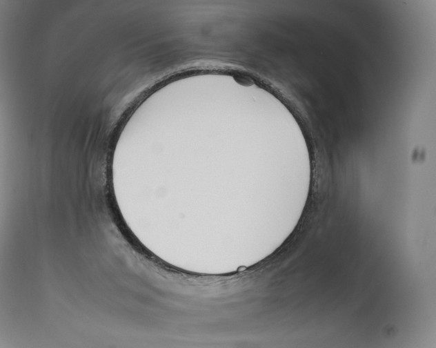 X0000111530015200908111238