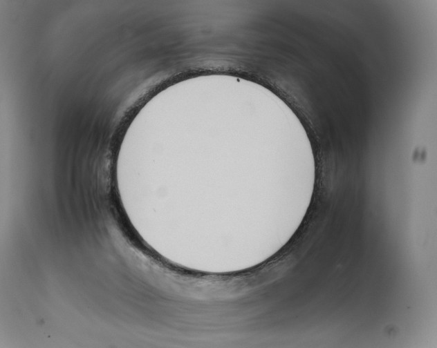 X0000111530016200908111238