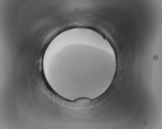 X0000111530019200908111238