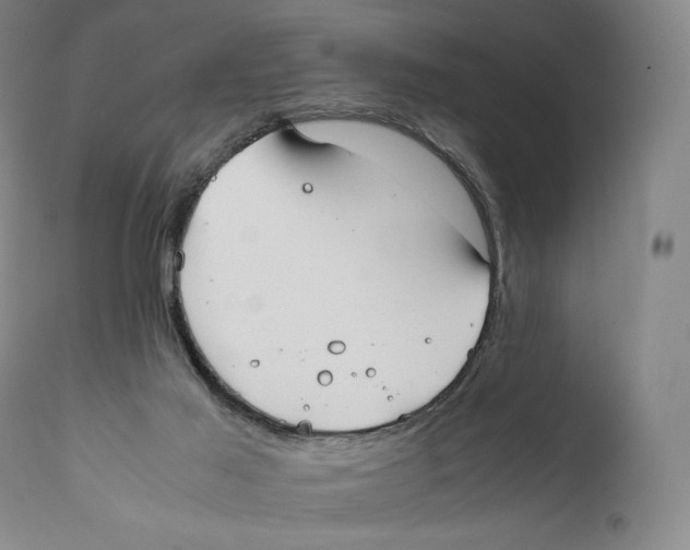 X0000111530021200908111238