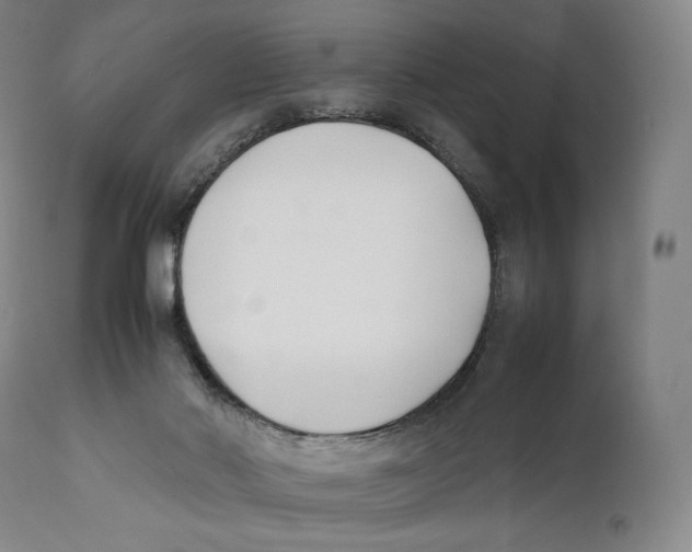 X0000111530022200908111238