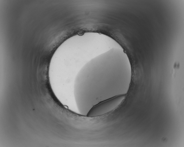 X0000111530023200908111238