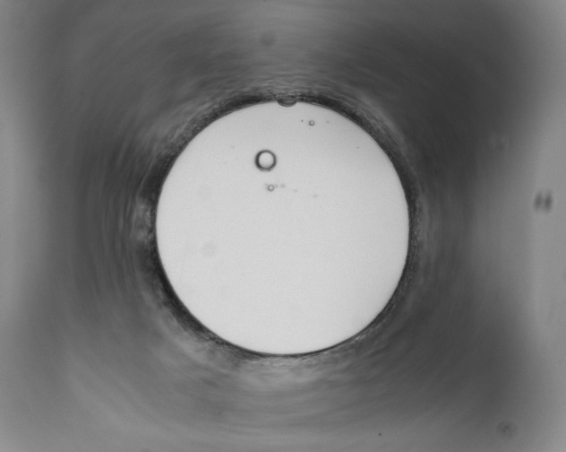 X0000111530025200908111238