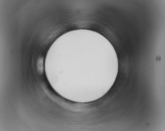 X0000111530028200908111238