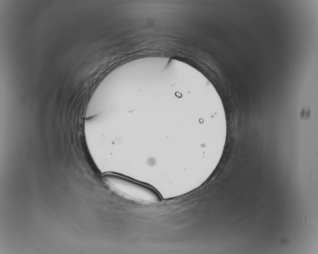 X0000111530029200908111238