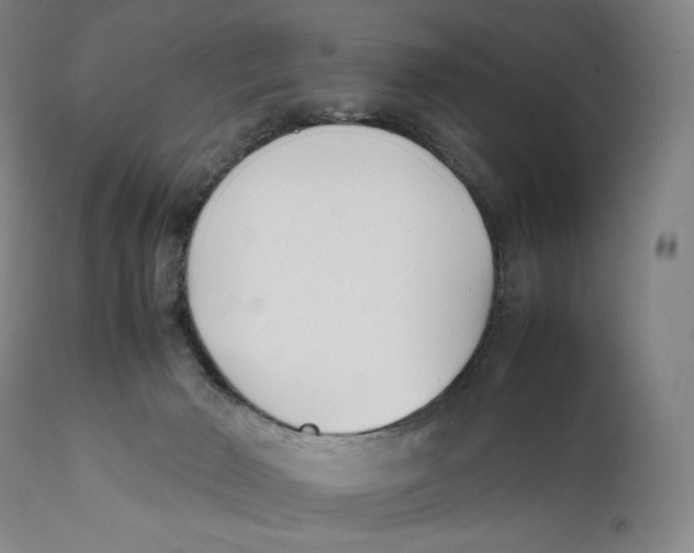 X0000111530030200908111238