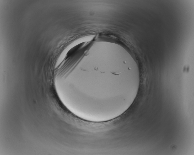 X0000111530031200908111238