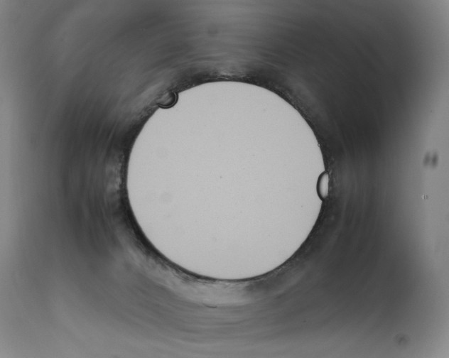 X0000111530032200908111238