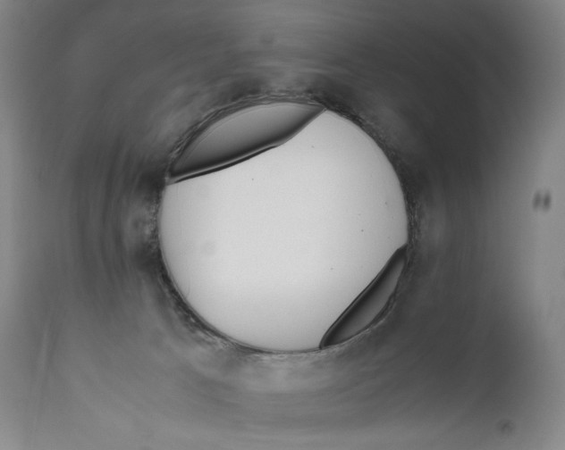 X0000111530033200908111238