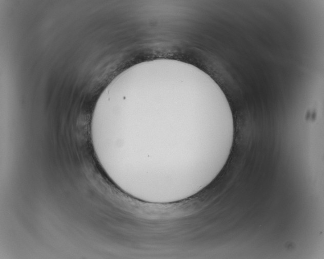 X0000111530034200908111238