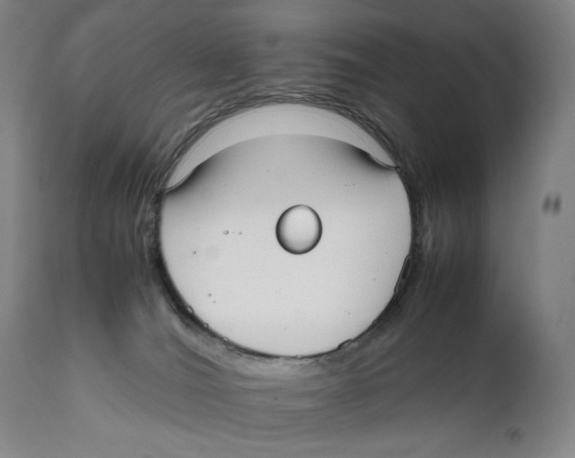 X0000111530036200908111238