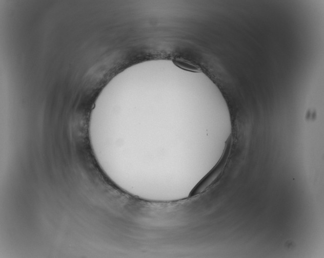 X0000111530037200908111238