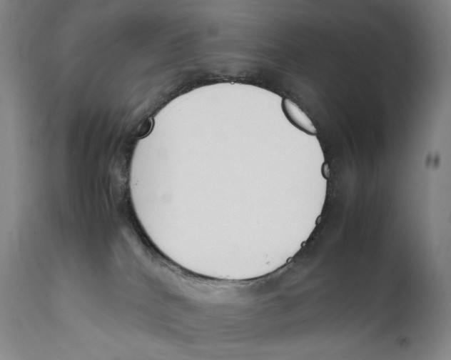 X0000111530040200908111238