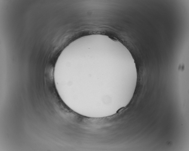 X0000111530041200908111238