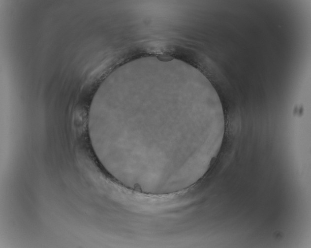 X0000111530043200908111238